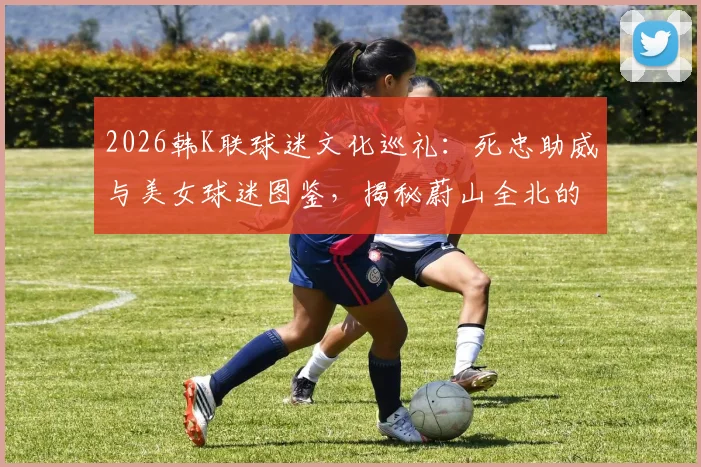 2026韩K联球迷文化巡礼：死忠助威与美女球迷图鉴，揭秘蔚山全北的球场氛围